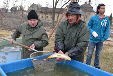 Bezděz - 26.3.2011, výlov rybníka