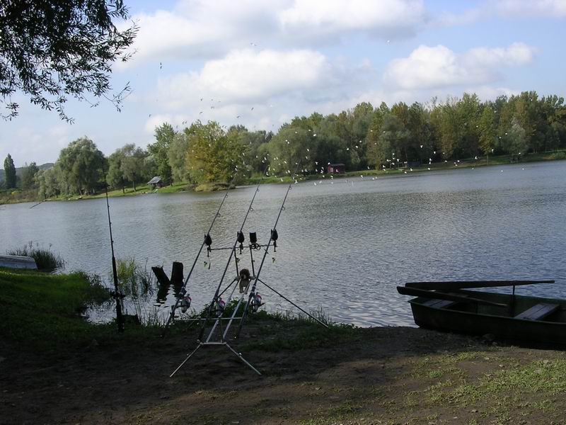 nachytano.cz