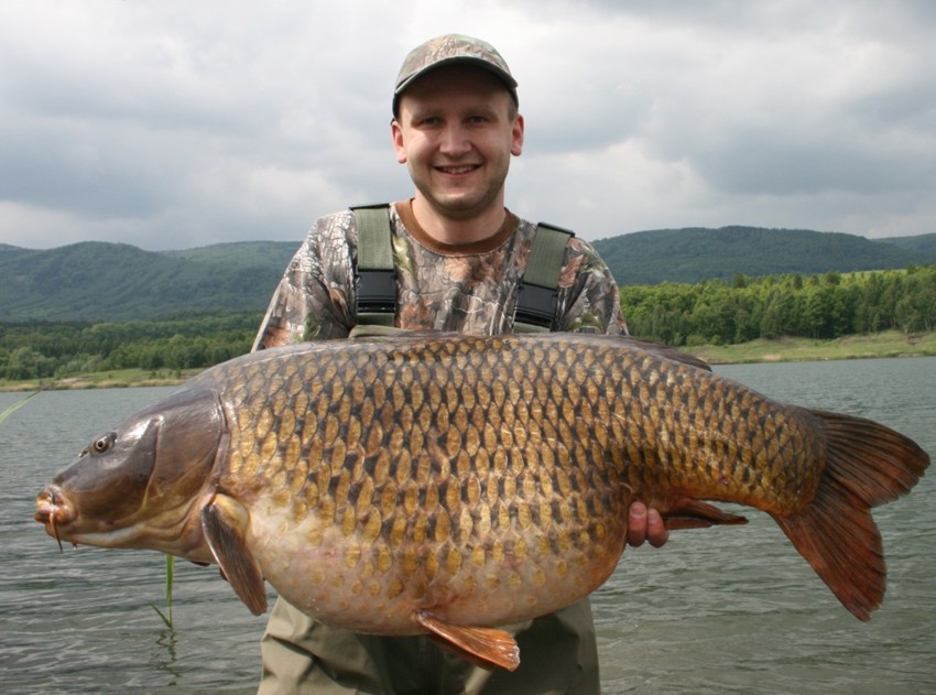 nachytano.cz